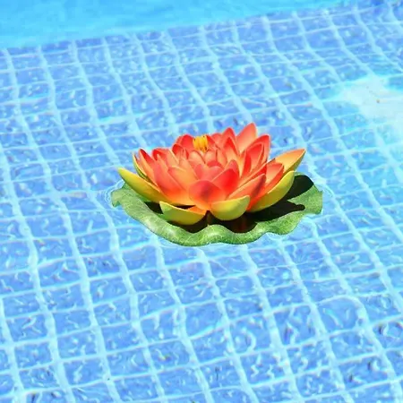 Guestready - Sonho Dos Avos *