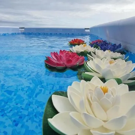 Apartment Guestready - Sonho Dos Avos