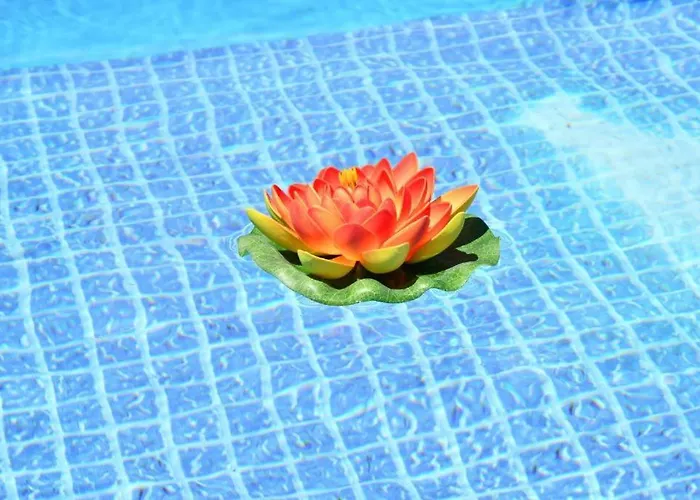 Guestready - Sonho Dos Avos *